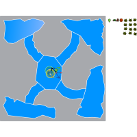 survival run